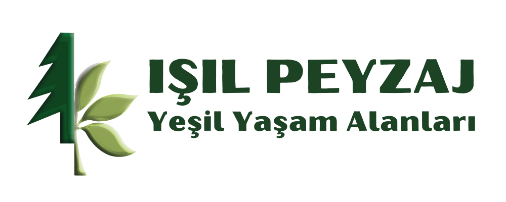 IŞIL PEYZAJ